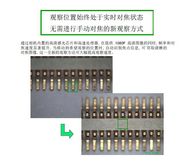 HDMI-200ZD 自動(dòng)對(duì)焦相機(jī) 攝像頭 CCD HDMI高清攝像頭 實(shí)時(shí)對(duì)焦
